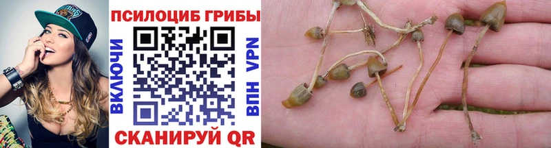 ОМГ ОМГ маркетплейс  Волчанск  Псилоцибиновые грибы MAGIC MUSHROOMS 